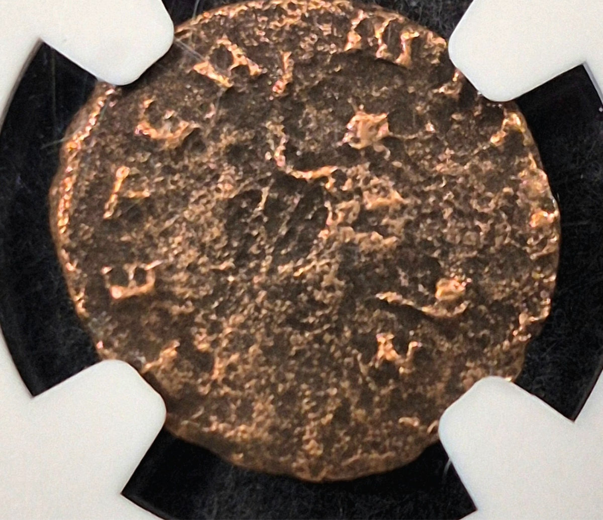 Emperor Quintillus NGC Ancient Roman Coin 270AD Genuine Scarce Rare Type Emperor