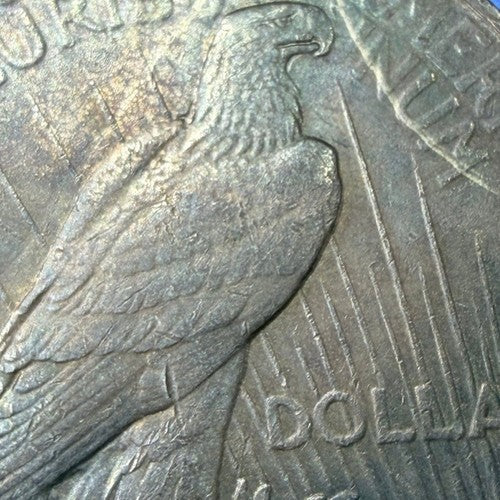 1923 Peace Silver Dollar AU Blue Rainbow Toner Major Die Crack Rim Cud Error $1