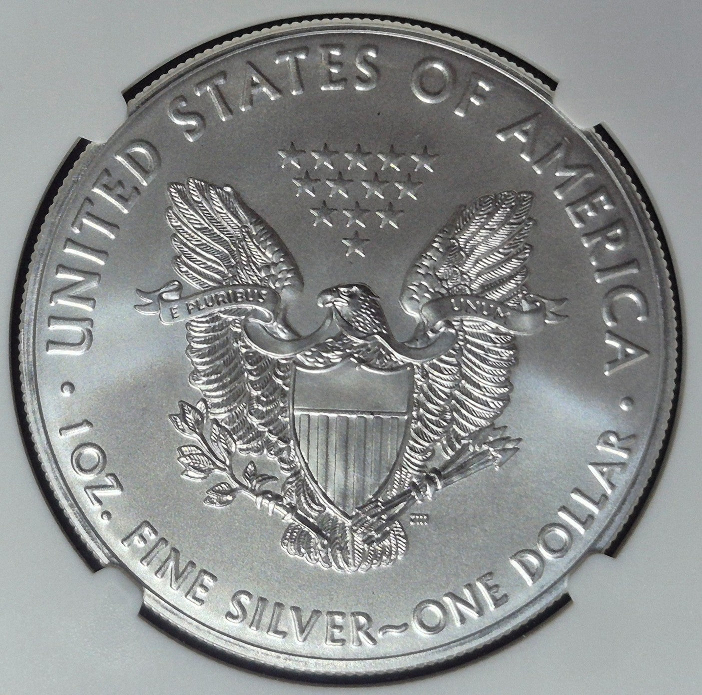 2019 $1 AMERICAN SILVER EAGLE NGC MS70 CLASSIC BROWN LABEL ITEM PICTURED PLATA