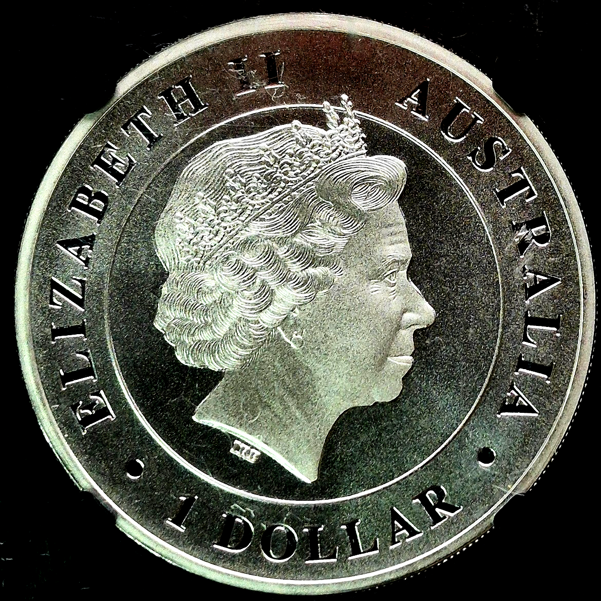2015-P MS69 1oz .999 SILVER AUSTRALIA *FUNNEL-WEB SPIDER* NGC WEB LABEL $1
