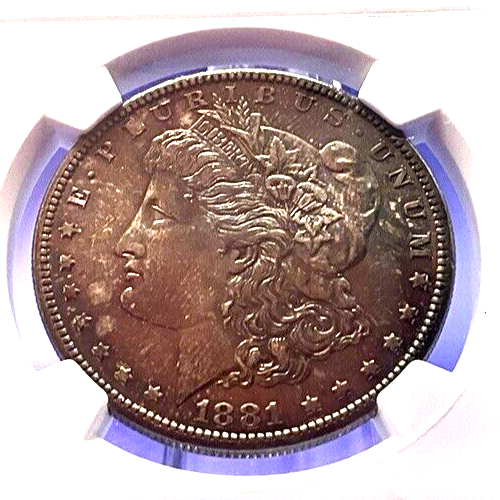 1881 S Morgan Silver NGC High Grade MS65 $1 Dollar 90% Fine Beautiful Toned Coin
