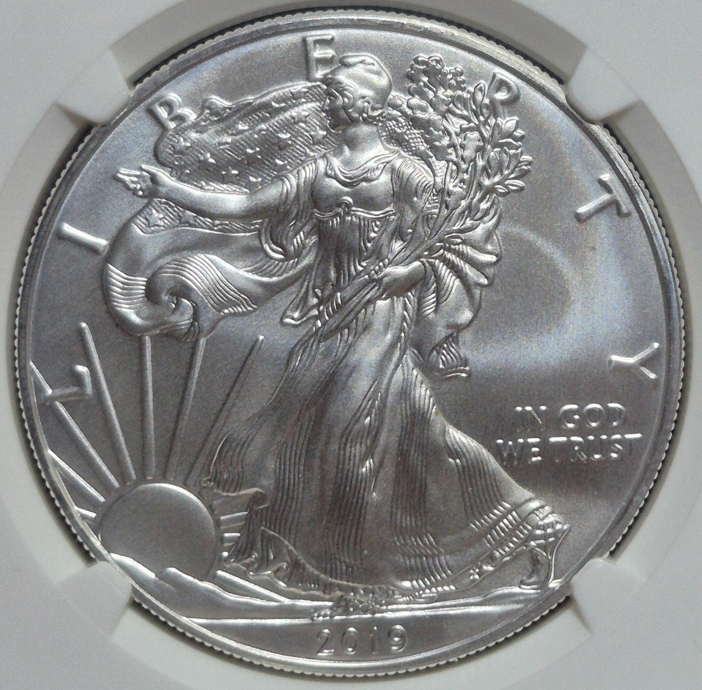2019 $1 AMERICAN SILVER EAGLE NGC MS70 CLASSIC BROWN LABEL ITEM PICTURED PLATA