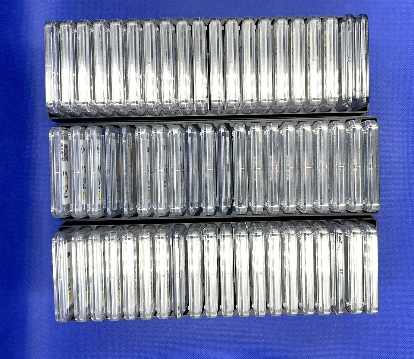 🎯 PCGS NGC GRADED & SLABBED UNCIRCULATED COINS  🇺🇸 USA  RANDOM  SELECTION 🏆
