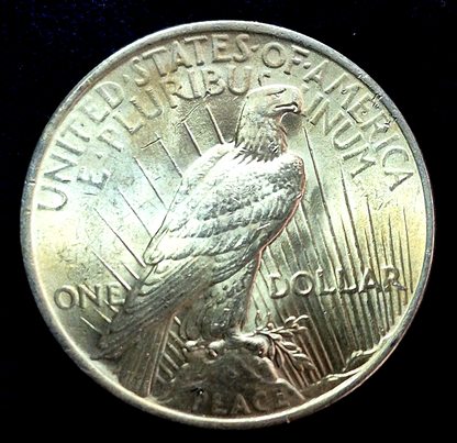1922-P Peace Dollar 90% Silver, MS++ Features, Luster and Hints Of Golden Toning