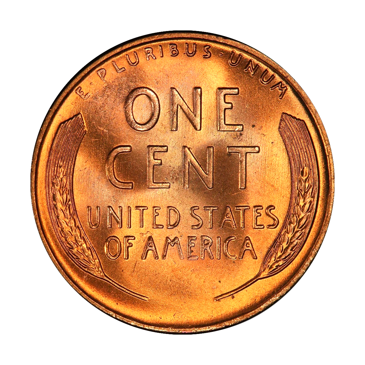 ✅ 1955 D Lincoln Wheat Cent Choice GEM BU RED Brilliant Uncirculated 1c Coin