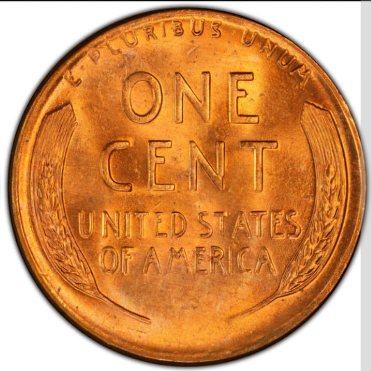 1955 D Lincoln Wheat Cent  BU Brilliant Uncirculated 1C🔥From OBW Bank Roll🔥