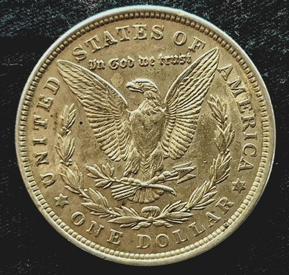1921 Morgan Silver Dollar Normal & Wide Reed Set, Top 100, Toned AU+/MS Features