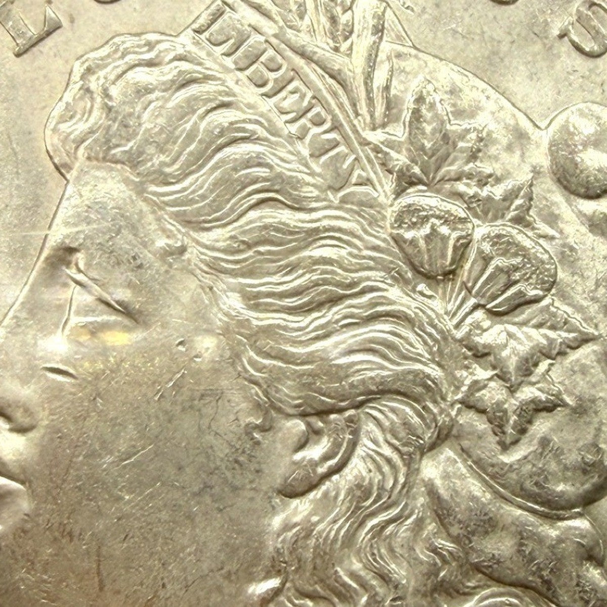 1889 Morgan Silver Dollar CAC UNC Details Cleaned Philadelphia Mint 90% Silver