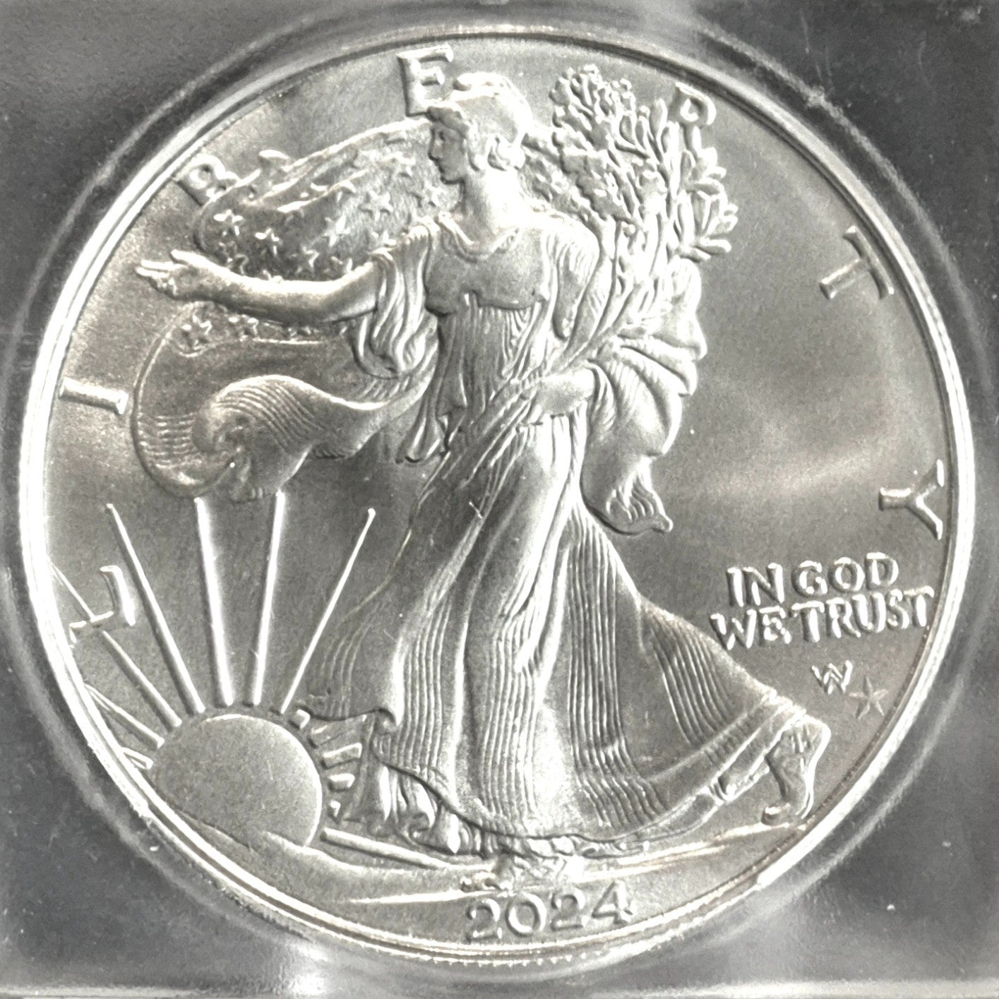 Low Mintage 2024 1 Oz American Silver Eagle Star Privy ICG MS69 Slab Blast White