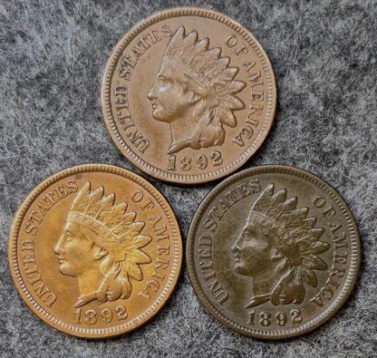 Lot (3) 1892 Indian Head Cents Different Tones Matching XF Features Coins Shown