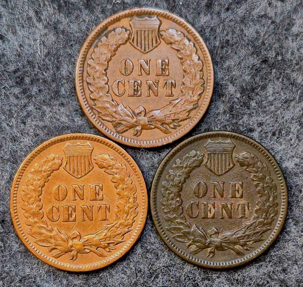 Lot (3) 1892 Indian Head Cents Different Tones Matching XF Features Coins Shown