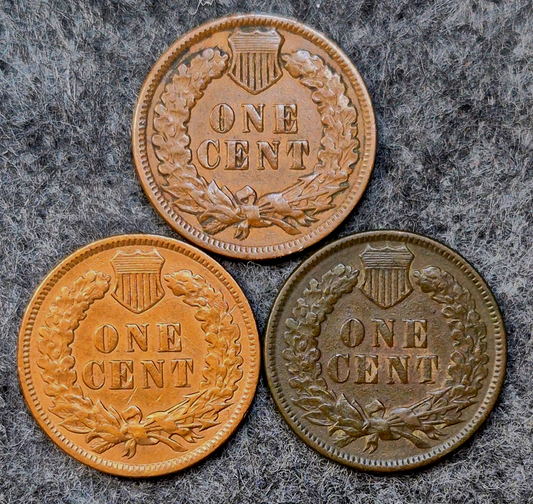 Lot (3) 1892 Indian Head Cents Different Tones Matching XF Features Coins Shown