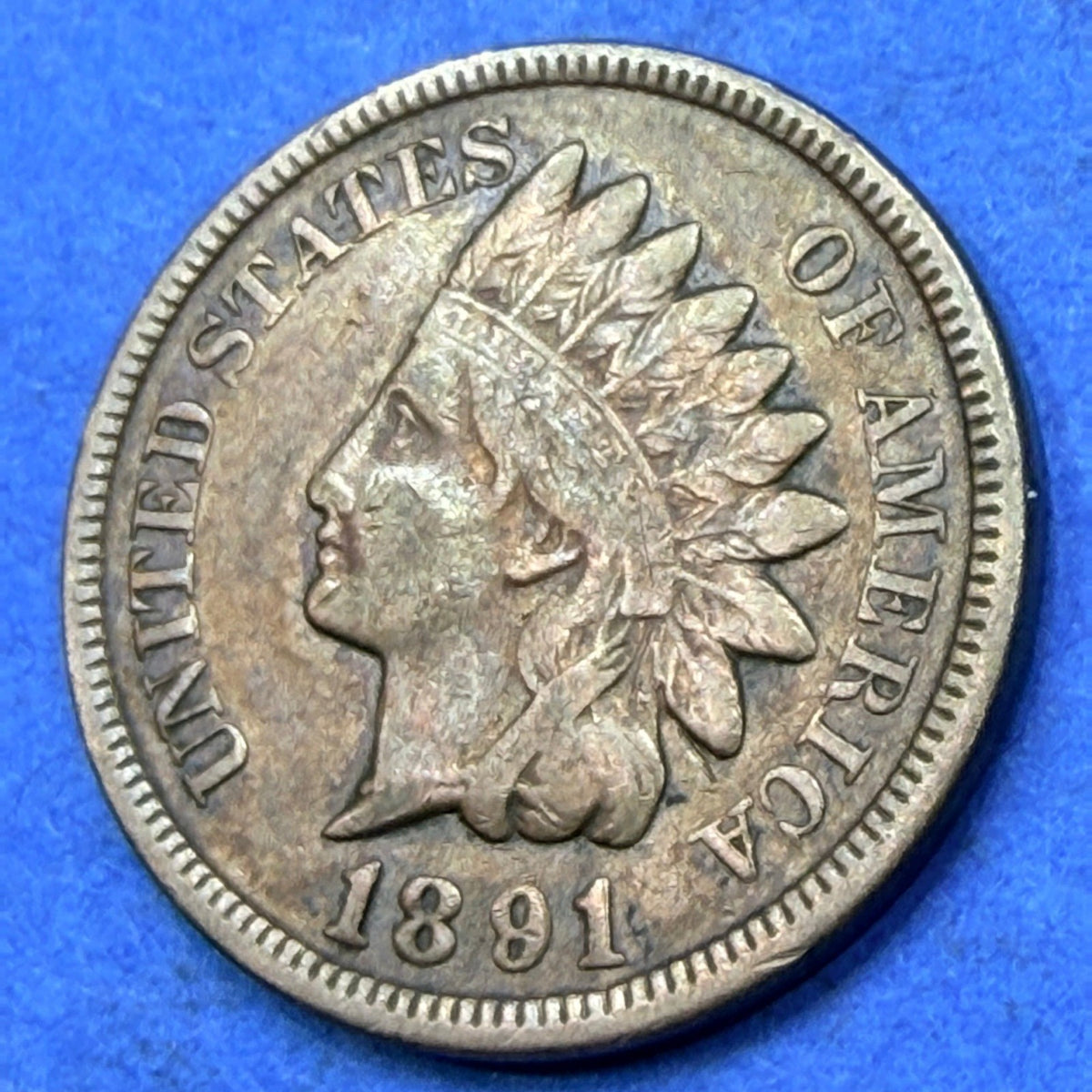 1891 Indian Head Cent 1C F-VF Fine to Very Fine Natural Toned Bronze Penny Coin