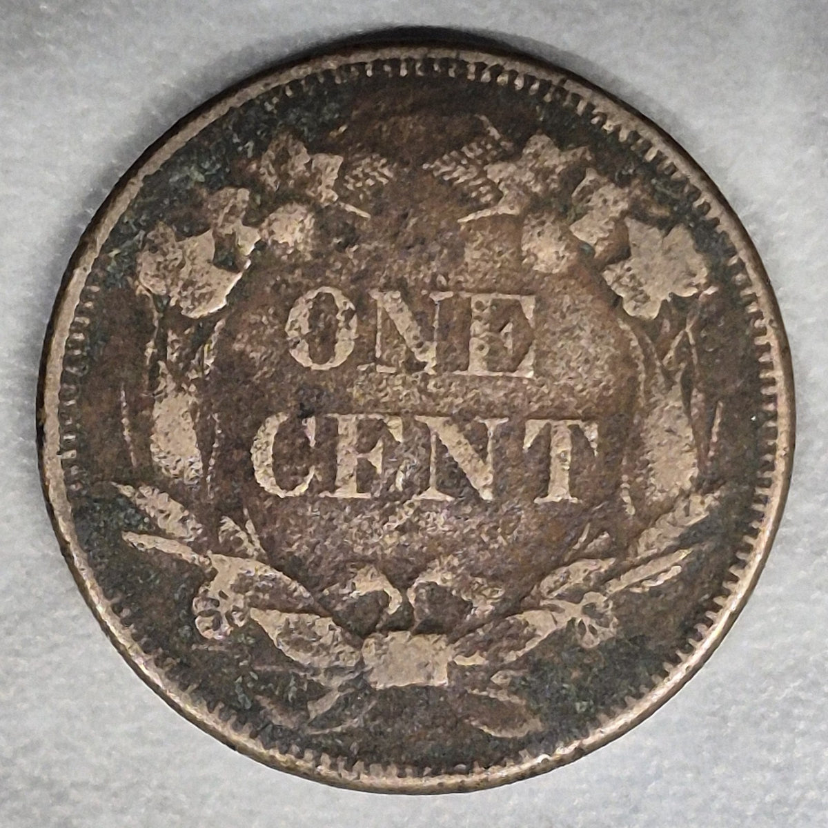 1858 Flying Eagle Cent Large Letters Low Leaves? You Judge Fine Last Year Type