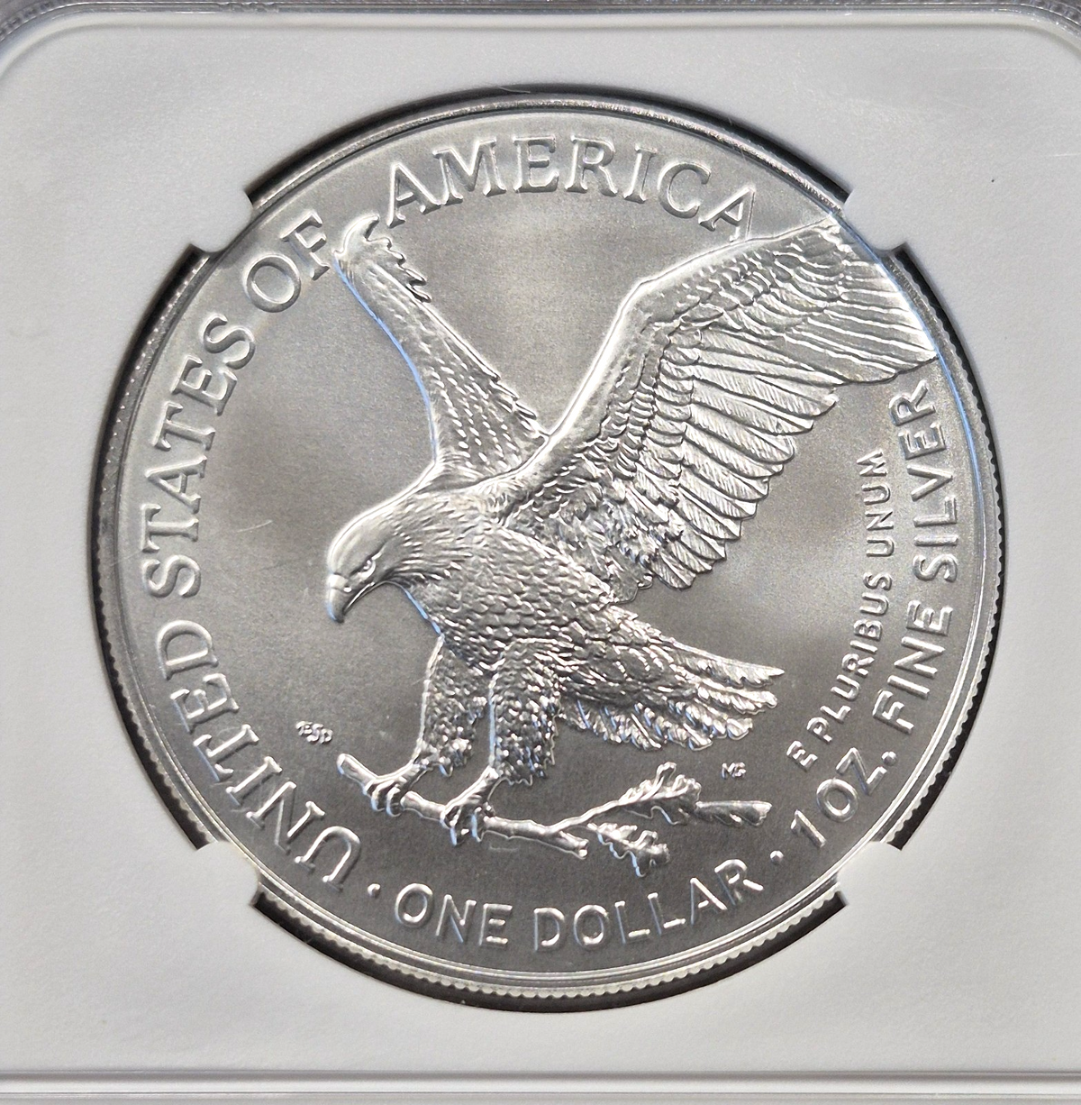 2024 American Silver Eagle NGC MS70 Perfect Grade Type 2 Landing Eagle 1 oz $1
