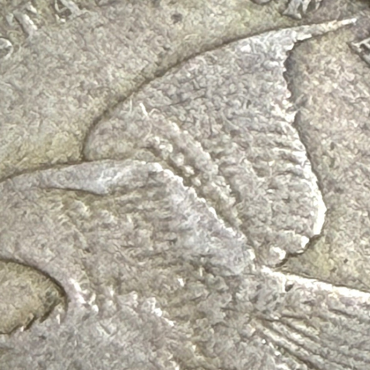 1858 Flying Eagle Cent 1C G Good Type Coin Copper Nickel Antique Penny US Coin