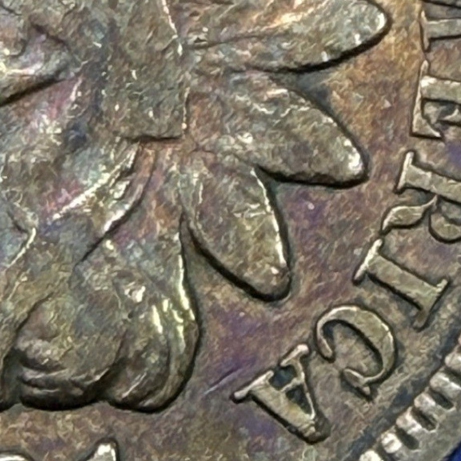 1891 Indian Head Cent 1C VF Very Fine Iridescent Toned Purple Blue Gold Penny