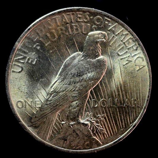 1922-P Peace Dollar 90% Silver, MS++ Features, Luster and Hints Of Golden Toning