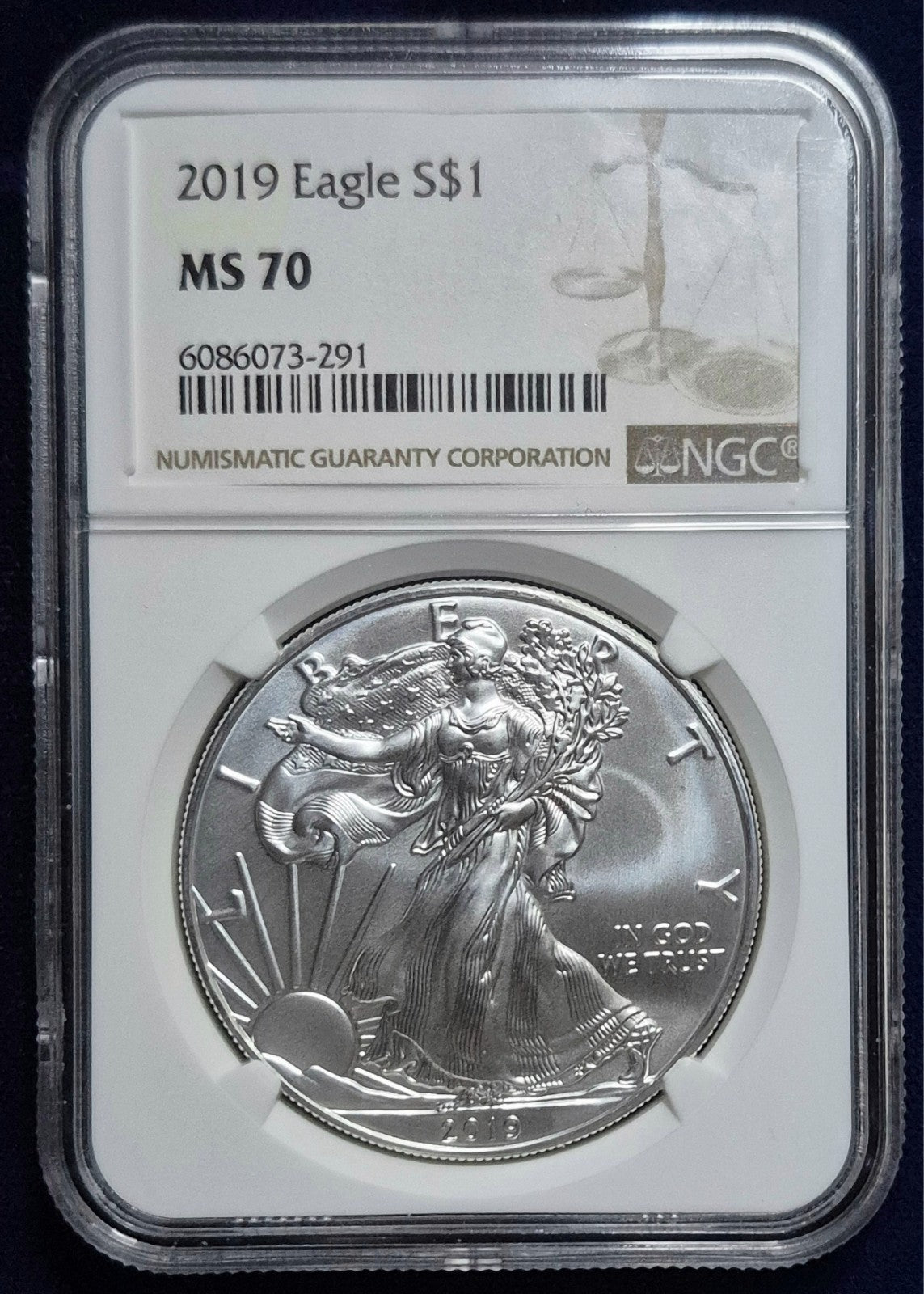 2019 $1 AMERICAN SILVER EAGLE NGC MS70 CLASSIC BROWN LABEL ITEM PICTURED PLATA