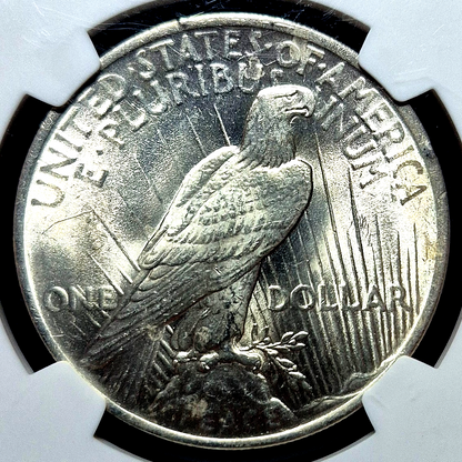 1923 Silver Peace Dollar NGC Exceptional MS63 90%