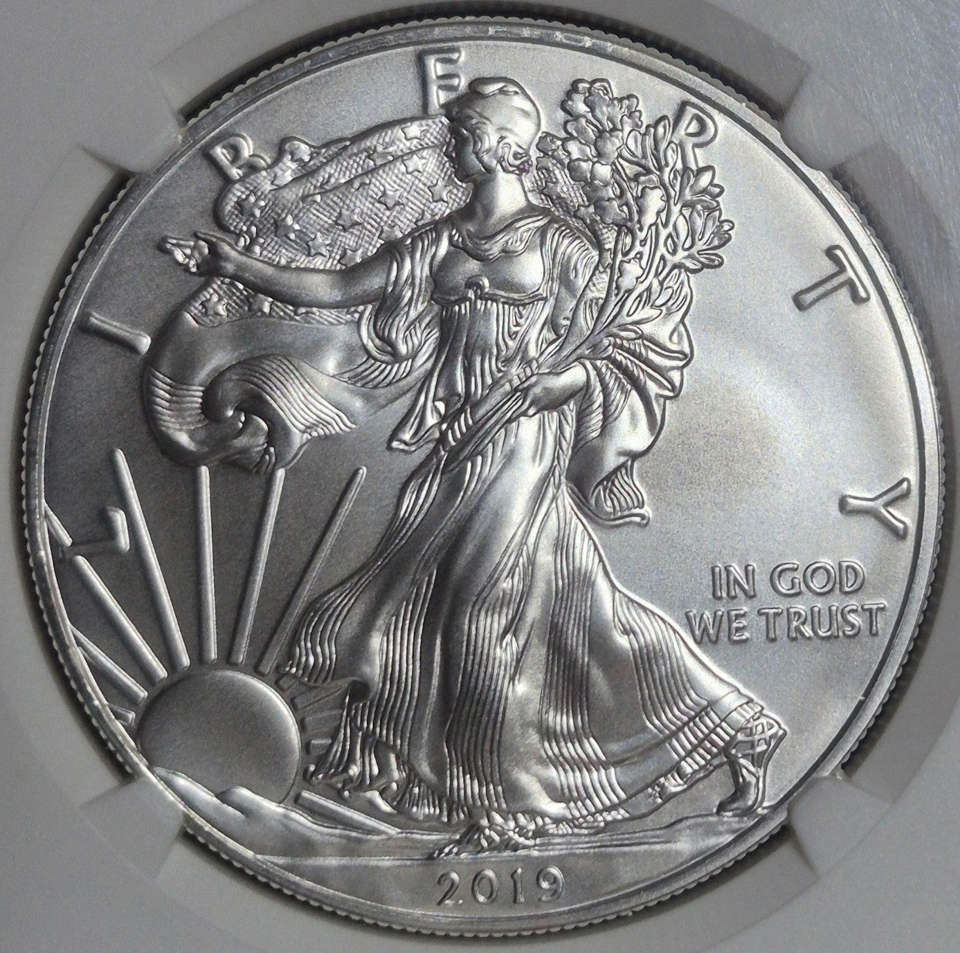 2019 $1 AMERICAN SILVER EAGLE NGC MS70 CLASSIC BROWN LABEL ITEM PICTURED PLATA
