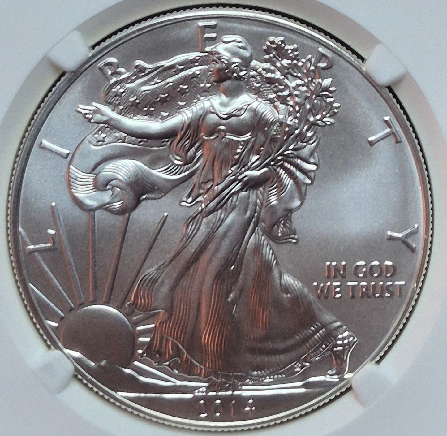 2014 American Silver Eagle MS70 NGC Flawless Magnum Opus From US Mint Sealed Box