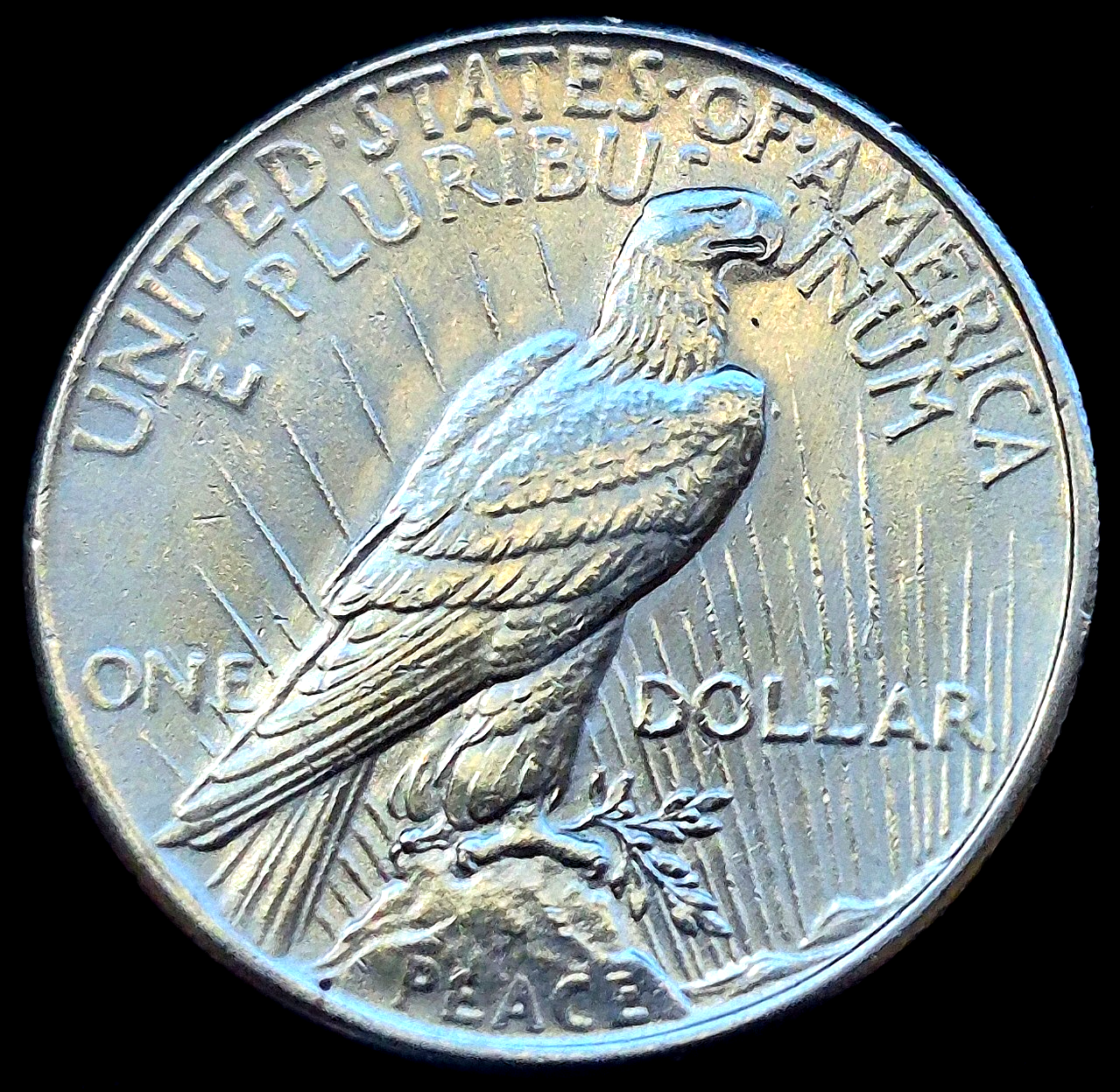 1925 Peace Dollar, VAM 1T Missing Ray, Top 50, Bright Coin Crisp MS+++ Features
