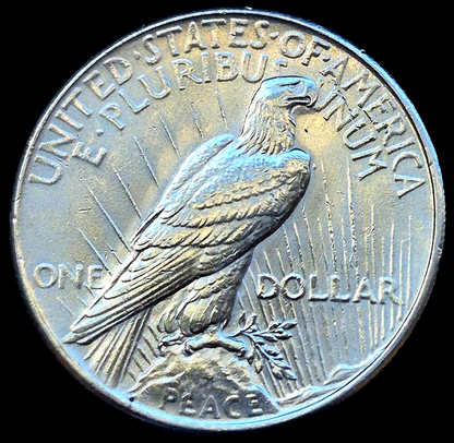 1925 Peace Dollar, VAM 1T Missing Ray, Top 50, Bright Coin Crisp MS+++ Features