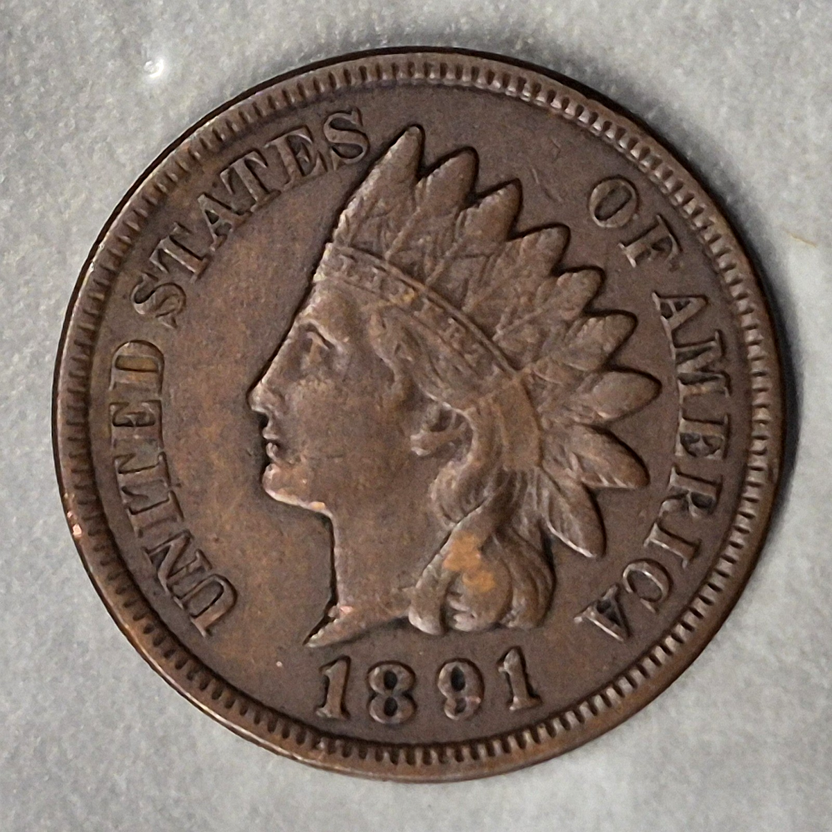1891 Indian Head Cent Penny 1C XF Extremely Fine Toned Reverse Bronze US Coin