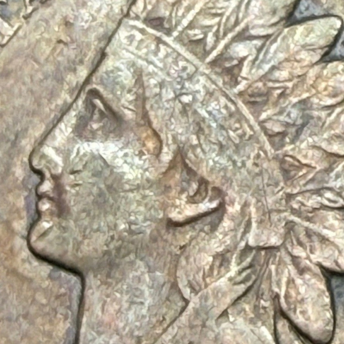 1891 Indian Head Cent 1C F-VF Fine to Very Fine Natural Toned Bronze Penny Coin