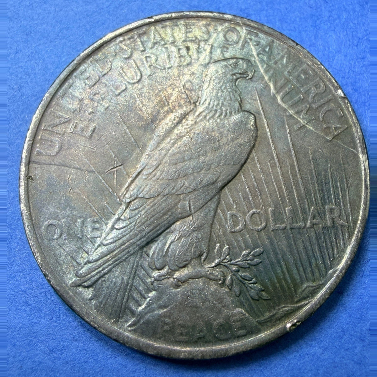 1923 Peace Silver Dollar AU Blue Rainbow Toner Major Die Crack Rim Cud Error $1
