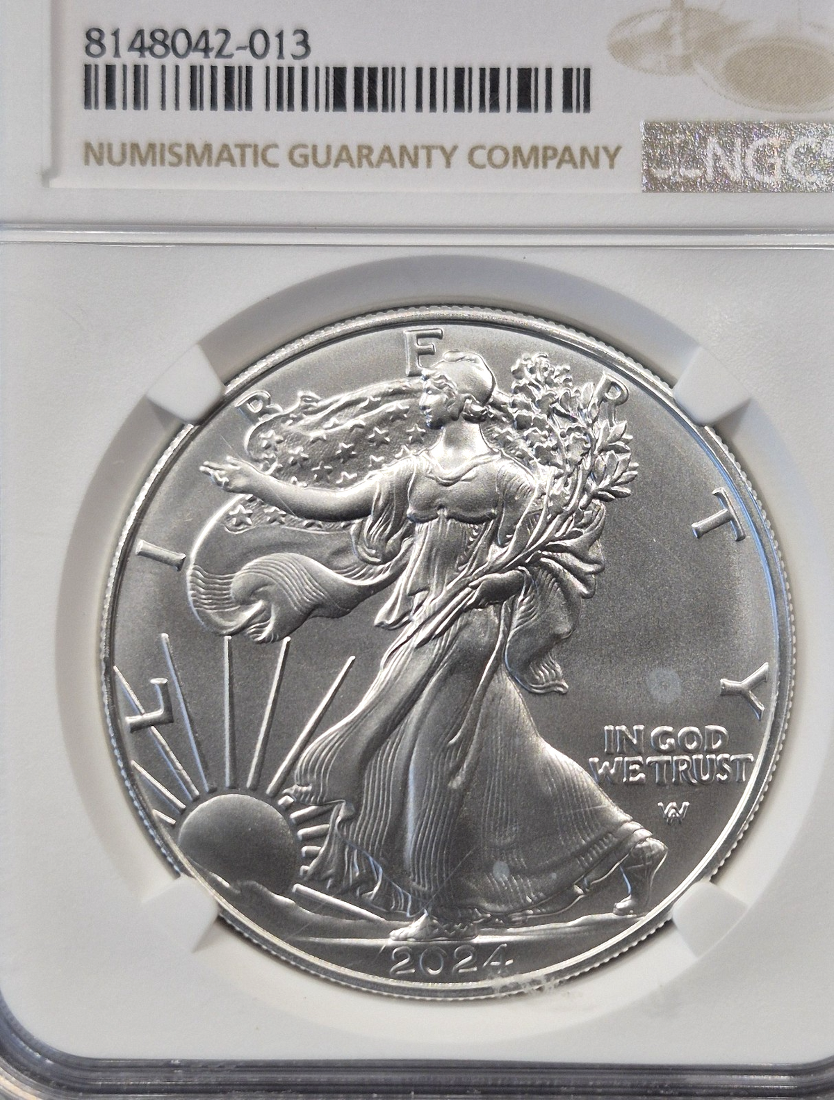 2024 American Silver Eagle NGC MS70 Perfect Grade Type 2 Landing Eagle 1 oz $1