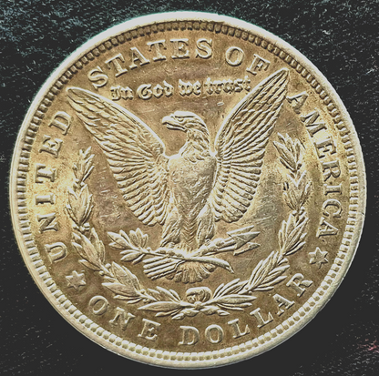 1921 Morgan Silver Dollar Normal & Wide Reed Set, Top 100, Toned AU+/MS Features