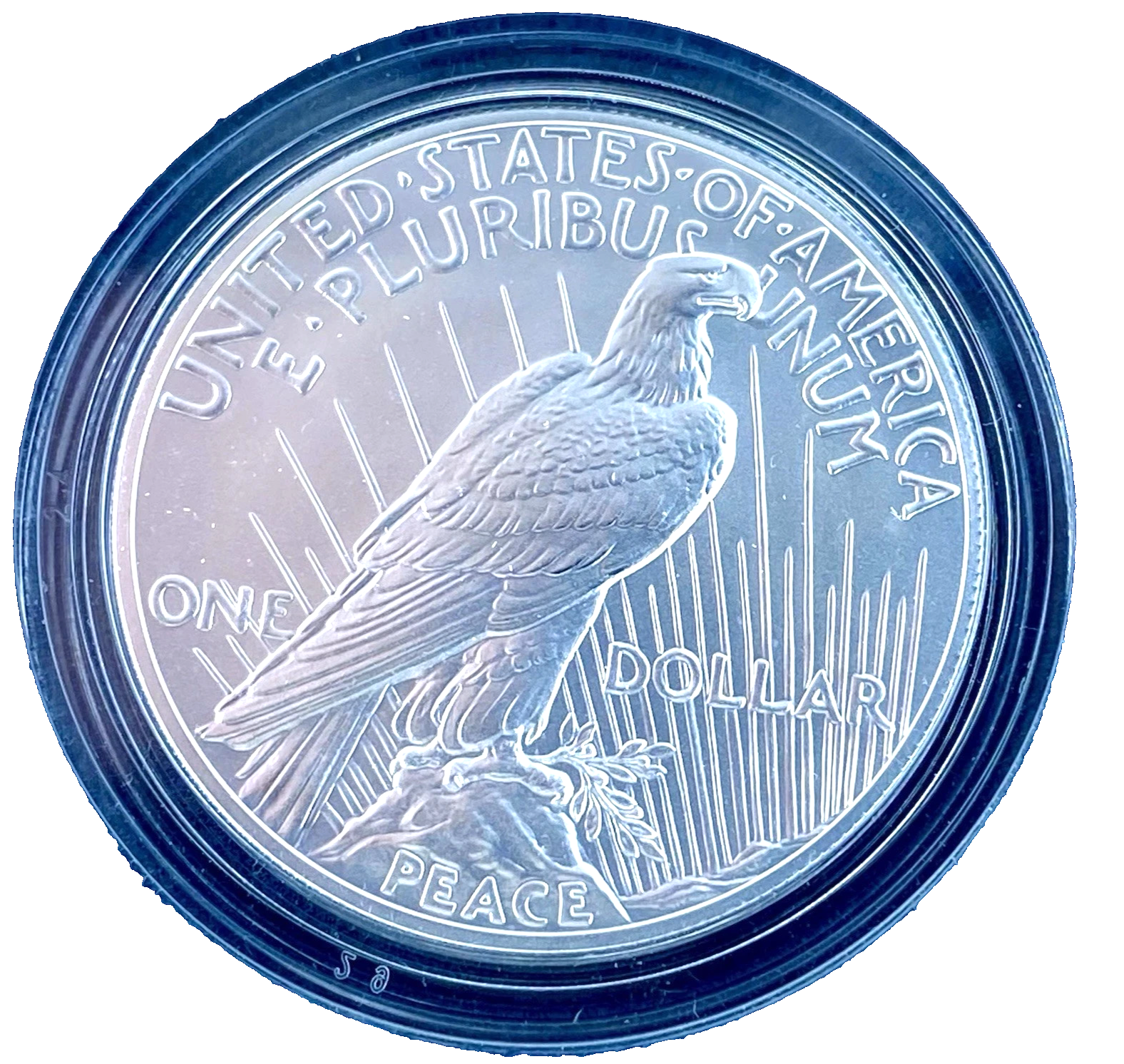 2024 P Peace Dollar $1 Uncirculated U.S. Mint Coin .999 Pure SILVER in Capsule