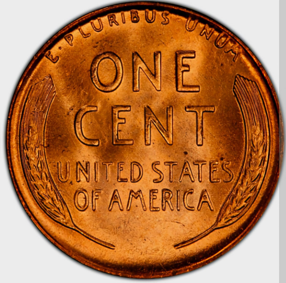 1951 D Wheat Cent BU Brilliant Uncirculated 1C Denver Fed🔥From OBW Bank Roll🔥