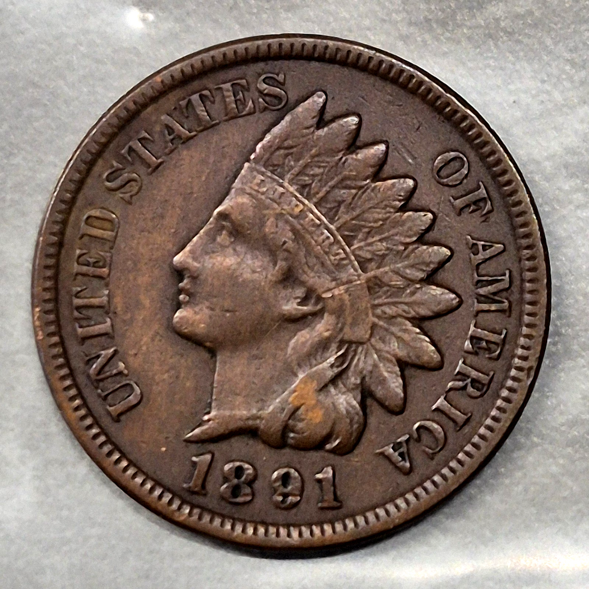 1891 Indian Head Cent Penny 1C XF Extremely Fine Toned Reverse Bronze US Coin