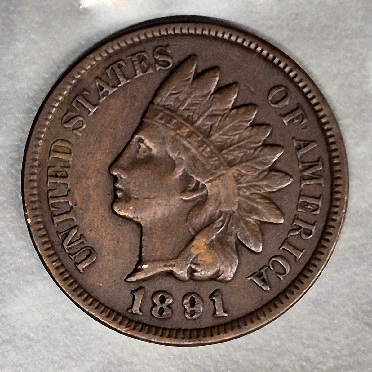 1891 Indian Head Cent Penny 1C XF Extremely Fine Toned Reverse Bronze US Coin