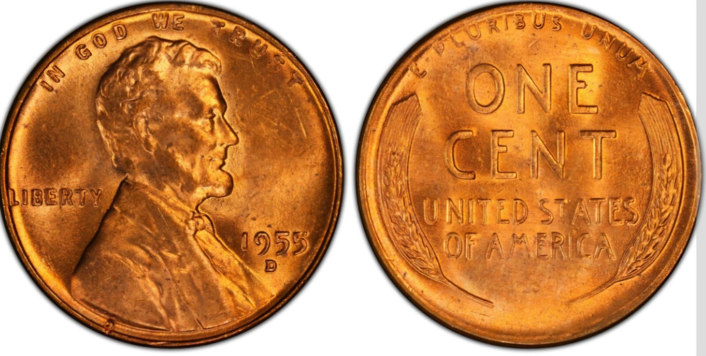 1955 D Lincoln Wheat Cent  BU Brilliant Uncirculated 1C🔥From OBW Bank Roll🔥