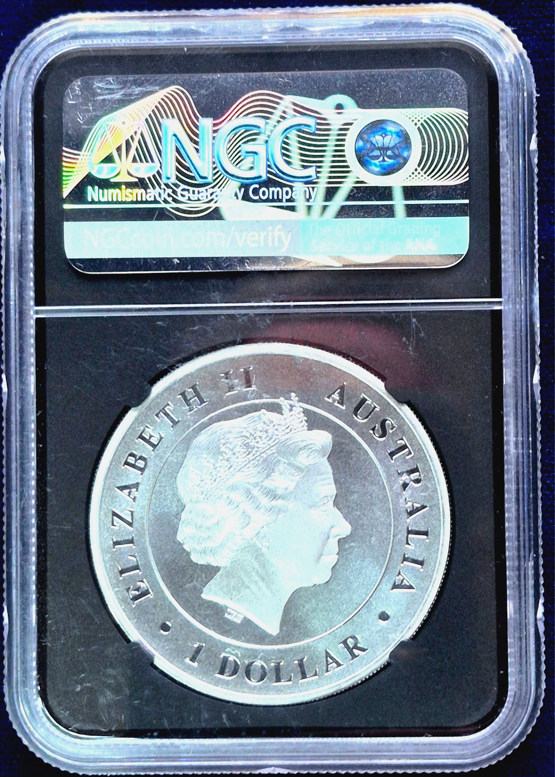 2015-P MS69 1oz .999 SILVER AUSTRALIA *FUNNEL-WEB SPIDER* NGC WEB LABEL $1