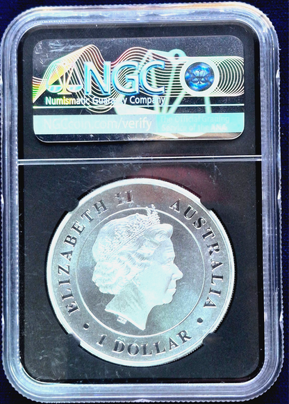 2015-P MS69 1oz .999 SILVER AUSTRALIA *FUNNEL-WEB SPIDER* NGC WEB LABEL $1