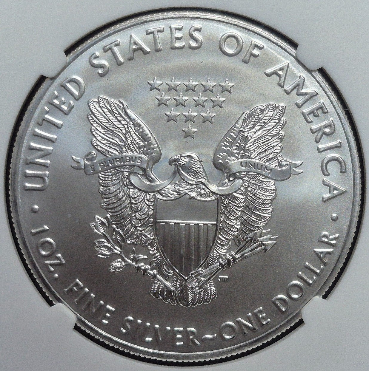 2019 $1 AMERICAN SILVER EAGLE NGC MS70 CLASSIC BROWN LABEL ITEM PICTURED PLATA