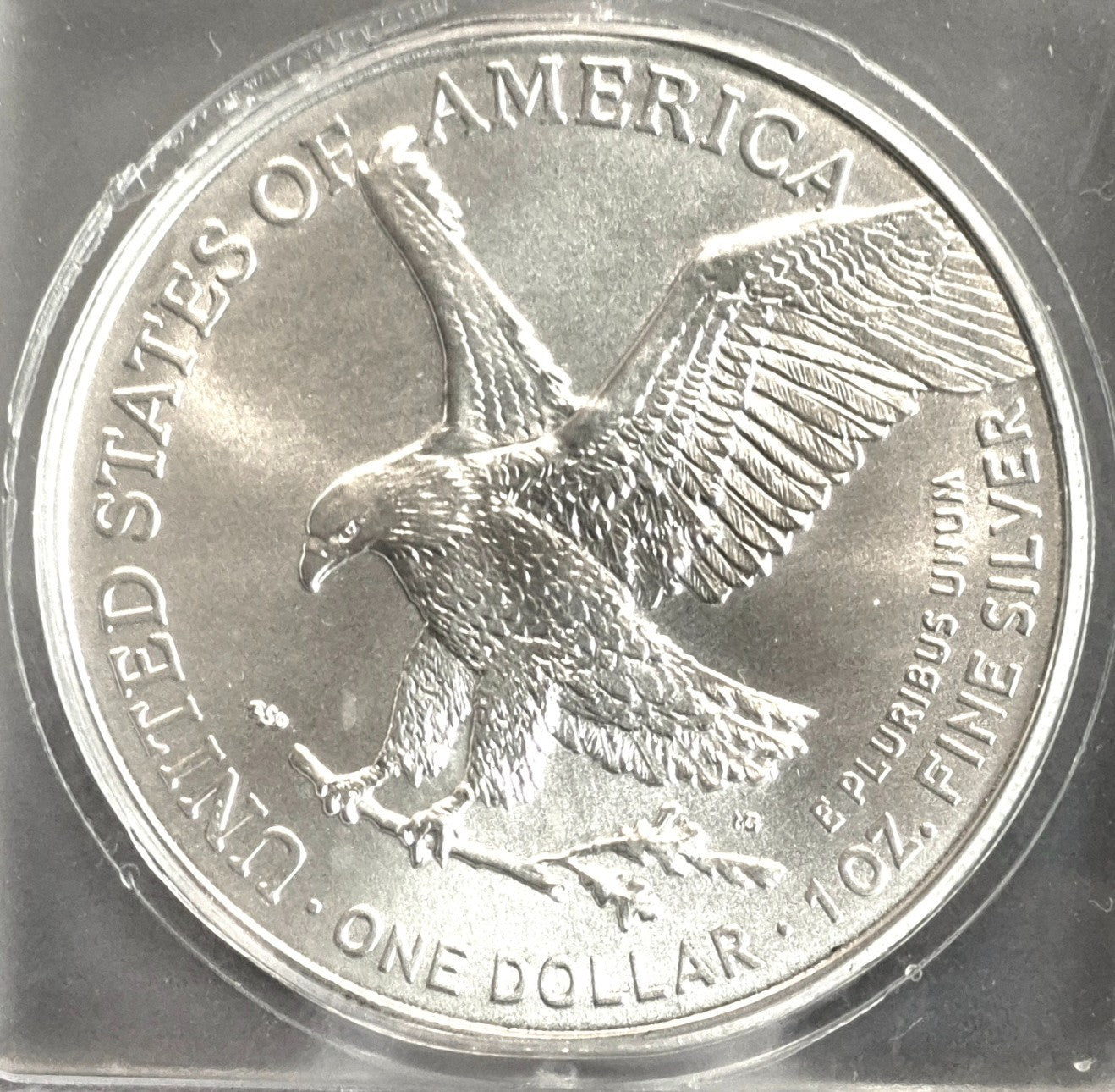 Low Mintage 2024 1 Oz American Silver Eagle Star Privy ICG MS69 Slab Blast White