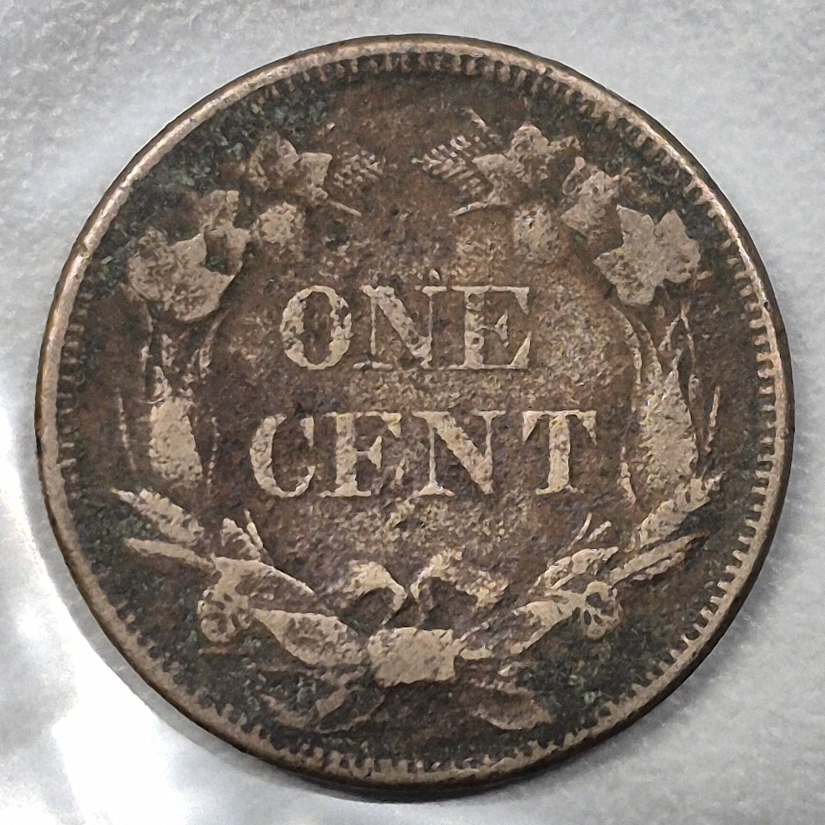 1858 Flying Eagle Cent Large Letters Low Leaves? You Judge Fine Last Year Type