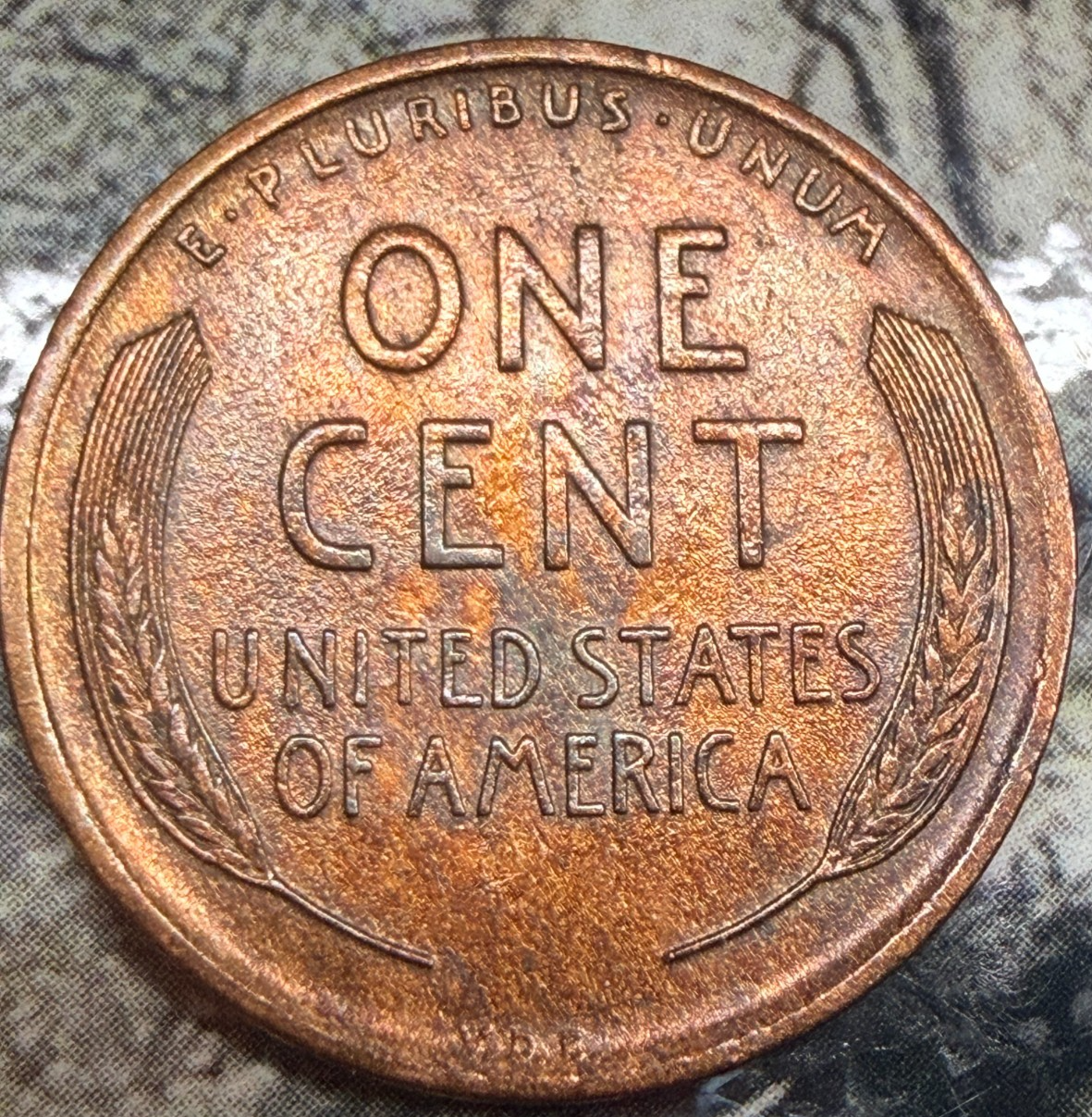 1909 VDB WOODY! BU Lincoln Wheat Cent TONED MINT ERROR Penny 1ST YEAR - KEY DATE