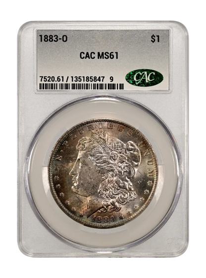 AMAZING TONER 1883-O Morgan Silver $1 Dollar Coin MS61 CAC Blue Steel Toned Coin