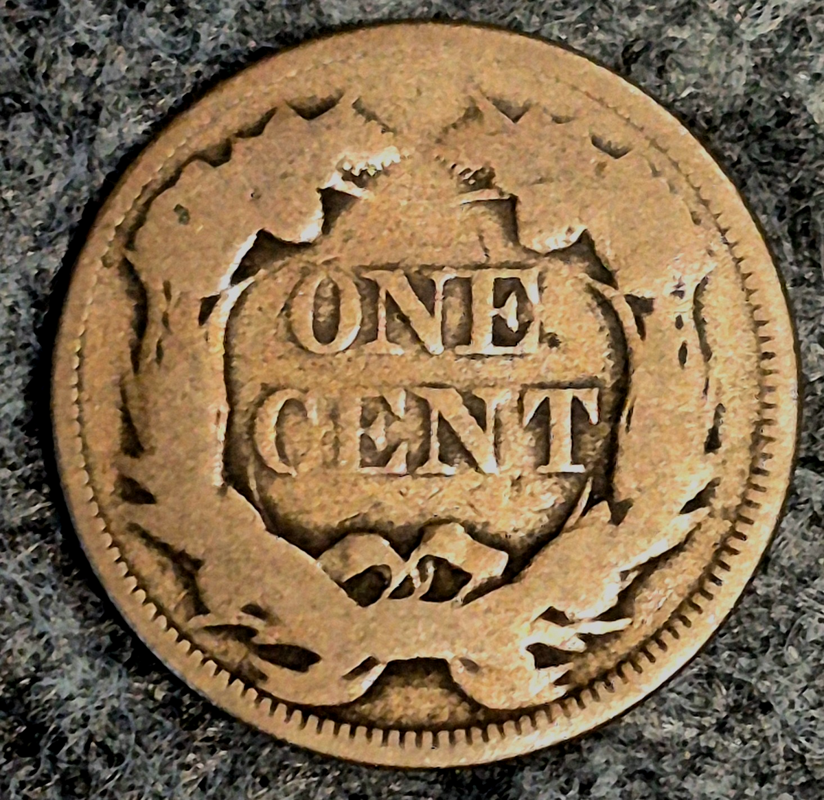 1857 Flying Eagle Cent Scarce FS 402 Snow 9 Die Clash Seated Liberty Half Dollar