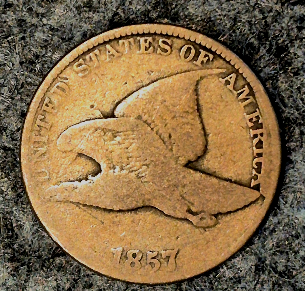 1857 Flying Eagle Cent Scarce FS 402 Snow 9 Die Clash Seated Liberty Half Dollar