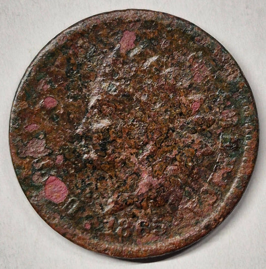 1865 Indian Head 1C AG or Less Features Corrosion 😎Reconditioner Challenge Coin