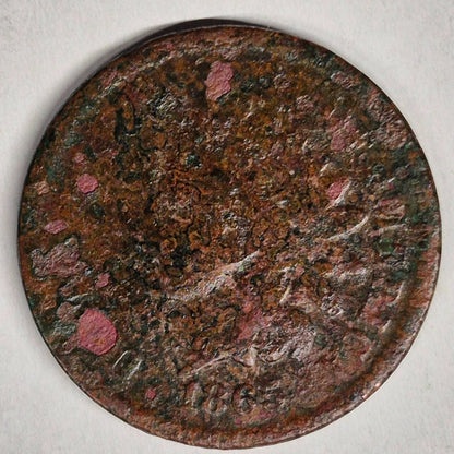 1865 Indian Head 1C AG or Less Features Corrosion 😎Reconditioner Challenge Coin